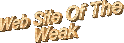 WebSite.gif (12274 bytes)